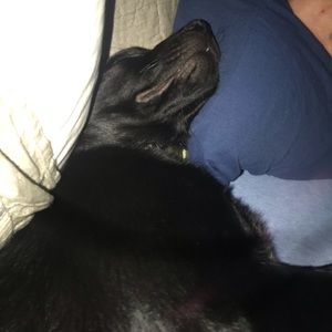 Meet your Posher, Cory